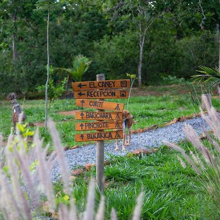 Nativo Glamping Hotel Barichara Kültér fotó