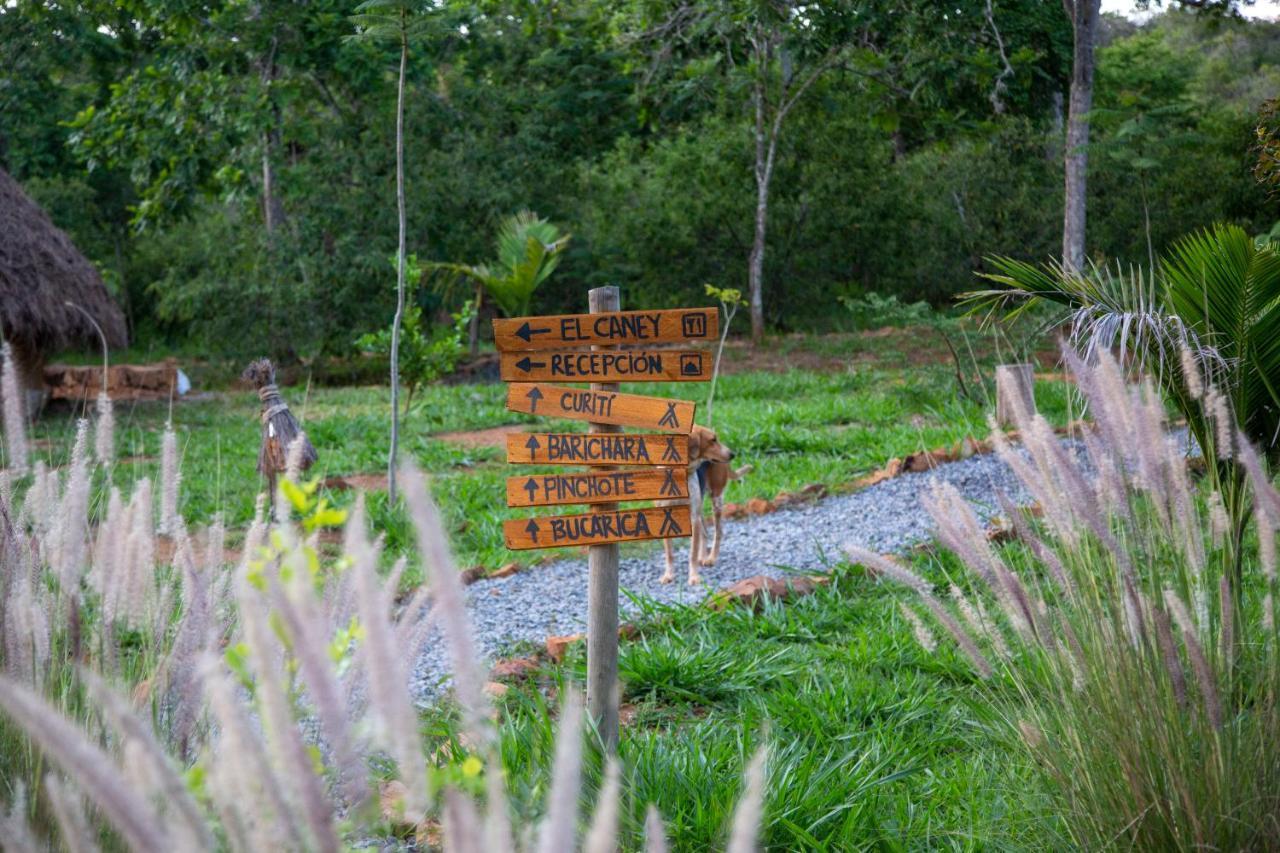 Nativo Glamping Hotel Barichara Kültér fotó