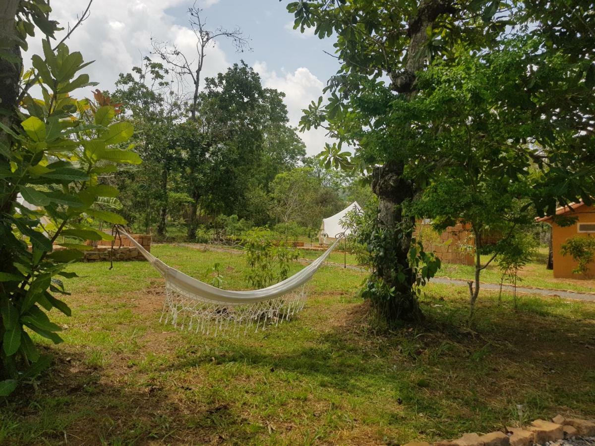 Nativo Glamping Hotel Barichara Kültér fotó